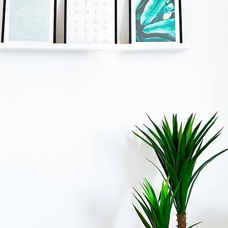 Adua1 * 스트레사